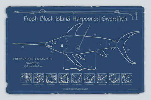 Swordfish Blueprint